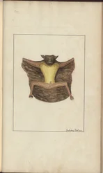 Una pagina da 