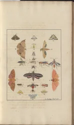 Disegni di Lindsay Vol. VI, 68