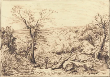 Boscaioli in una foresta