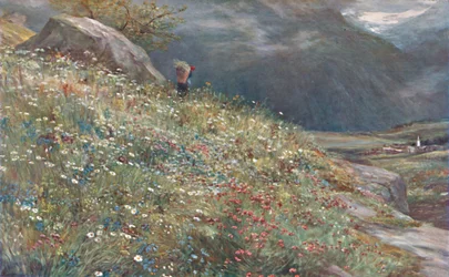 Un prato alpino, fine XIX-inizio XX secolo