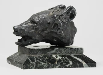 Testa di orso, c.1900