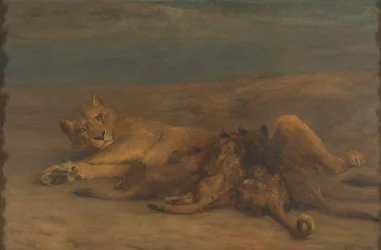 Una leonessa con quattro cuccioli che allattano, chiamata 