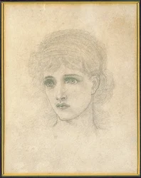 Testa di una Donna