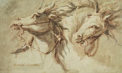 Due teste di cavalli