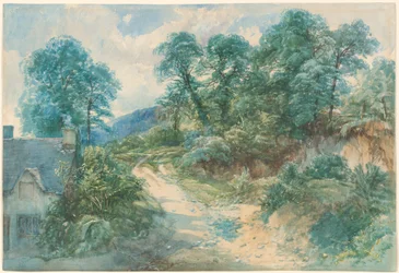 Una strada di campagna