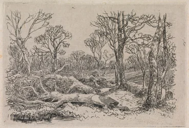Legname Abbattuto, Burningham
