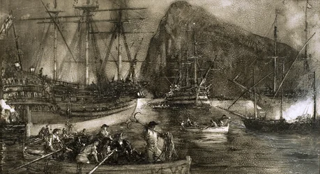 Il gallo della roccia (Sir George Eliott)