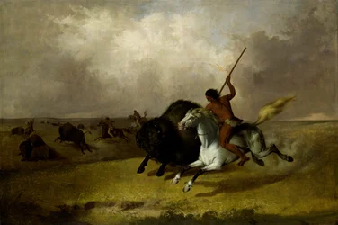 Caccia al bufalo nelle praterie sud-occidentali