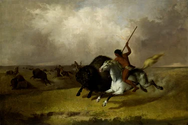 Caccia al Bisonte nelle Praterie del Sud-Ovest