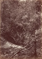 Spedizione Darien, 1871 (foto)