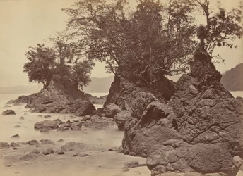 Isole, Baia di Limon, 1871 (foto)