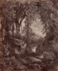 Solitudine, 1865 (foto)