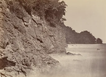 Scenario tropicale, scogliera - Baia di Limon, 1871