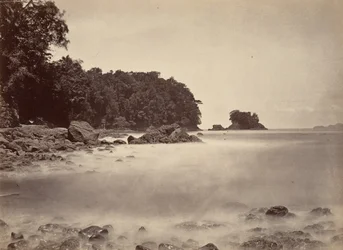 Paesaggio tropicale, veduta della baia di Limon, 1871