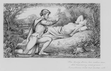 Robert Burns: Nelly fiorente
