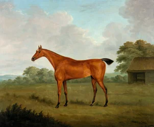 Cavallo castano in un paesaggio, 1815