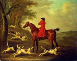 Caccia a cavallo