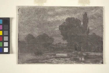 Paesaggio paludoso