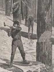 Taglio del legname in inverno Every Saturday, Vol. II, New Series, 28 gennaio 1871