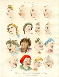 Segni esterni delle passioni da Le Brun