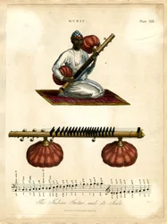 Chitarra indiana con scala