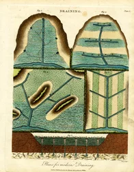 Sistemi di drenaggio moderni (Piastra I)
