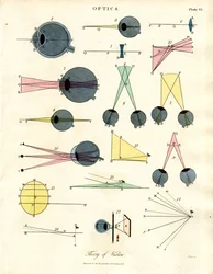 Ottica: Teoria della visione (Platea VI)