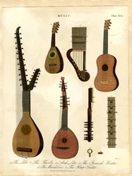 Il liuto; la tiorba o liuto ad arco; la chitarra spagnola; il mandolino; la chitarra-arpa.