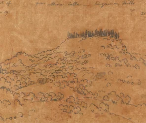 Da Mirabella, Colli Euganei, 19 giugno