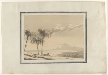 Palma