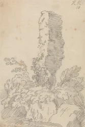 Roccia e alberi perpendicolari