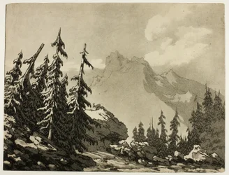 Pini nelle montagne