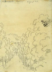 Bosco, da un album di tracciati