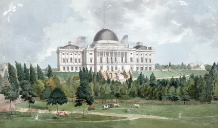 Facciata ovest del Campidoglio degli Stati Uniti con mucche in primo piano 1831