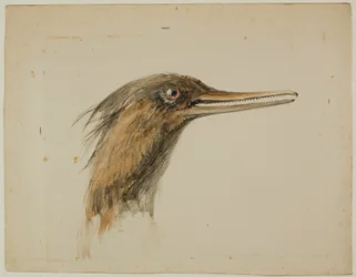 Smergo