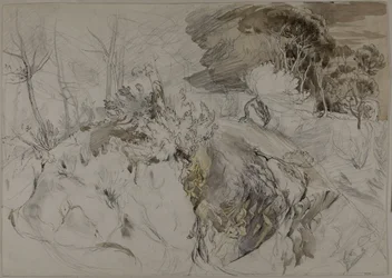 Arbusti e alberi in paesaggio roccioso