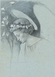 Studio della testa dell