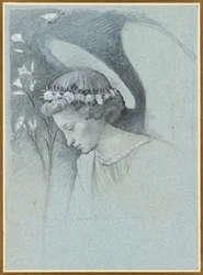 Studio della testa dell