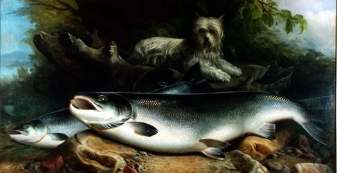 A guardia del pescato del giorno; uno Skye Terrier con un salmone maschio e uno femmina
