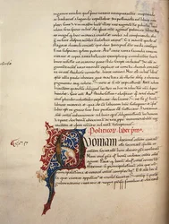 Ms.228, f.90v: Pagina dall