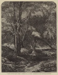 Rifugio del cervo