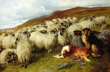 Stanco ma vigile