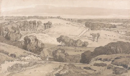 Holt Heath, vicino a Norwich