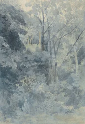 Nel parco di Rokeby