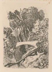 Liber Studiorum: Tavola 11: Parsons Bridge, Cardingshire, 1838