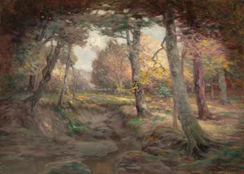 Bordo del bosco