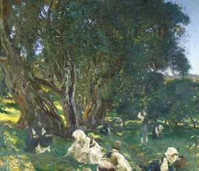 Raccoglitori di olive albanesi