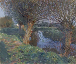 A Calcot