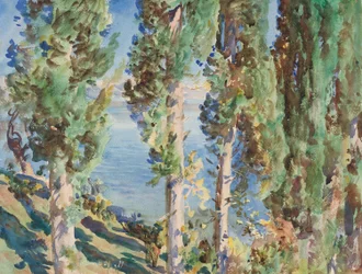 Corfù: cipressi