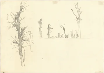 Alberi devastati (verso)